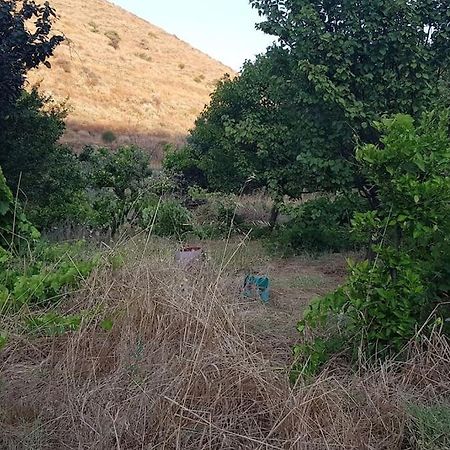 Вилла Κυθνος Δρυοπίδα, Στούντιο Χατζής Dhriopis Экстерьер фото