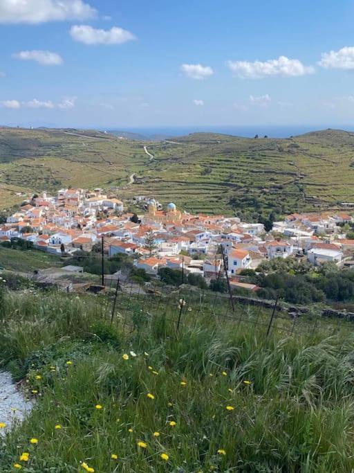 Вилла Κυθνος Δρυοπίδα, Στούντιο Χατζής Dhriopis Экстерьер фото