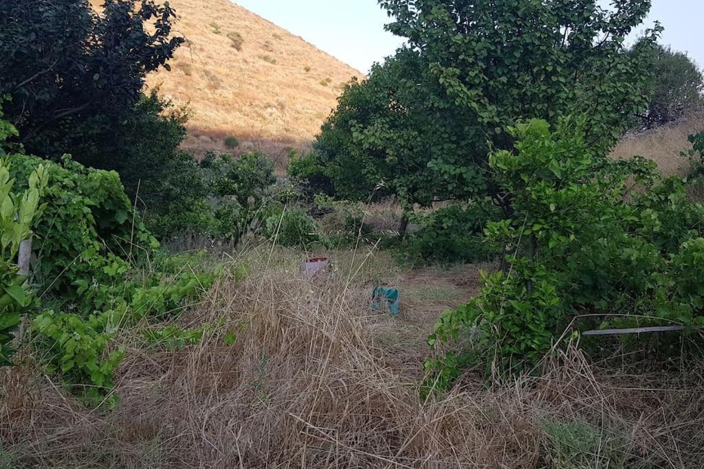 Вилла Κυθνος Δρυοπίδα, Στούντιο Χατζής Dhriopis Экстерьер фото